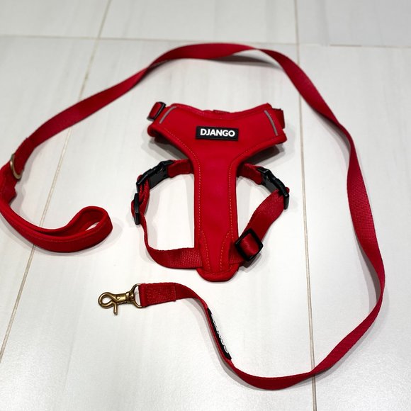 ✨NWOT✨Django Harness & Leash Set - Picture 3 of 7